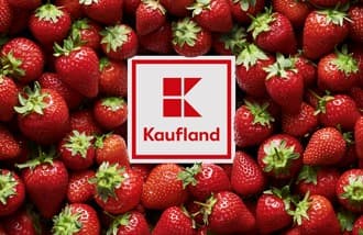 Kaufland Gift Card EUR (Germany)