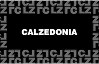 Calzedonia Gift Card EUR (Germany)